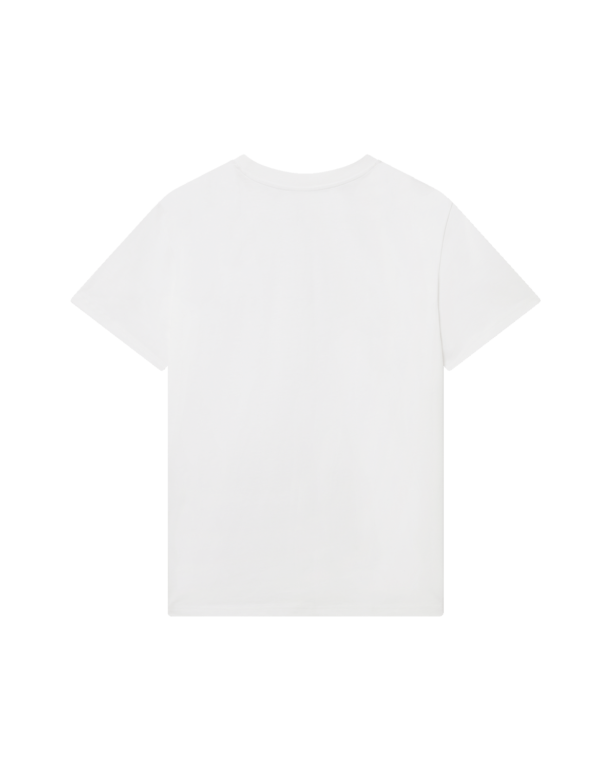 Casablanca Turtle T-shirt