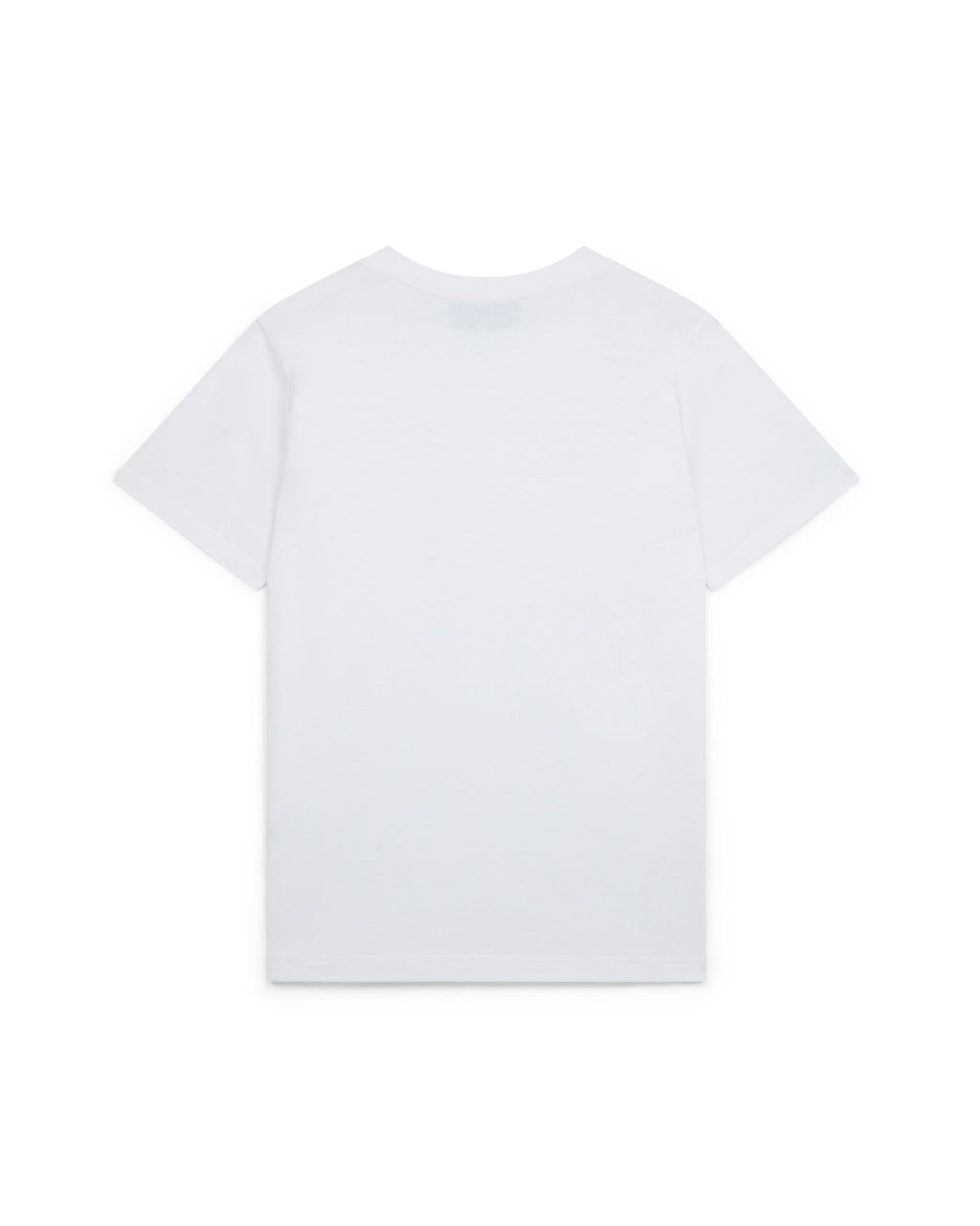 Playful Eagle T-shirt