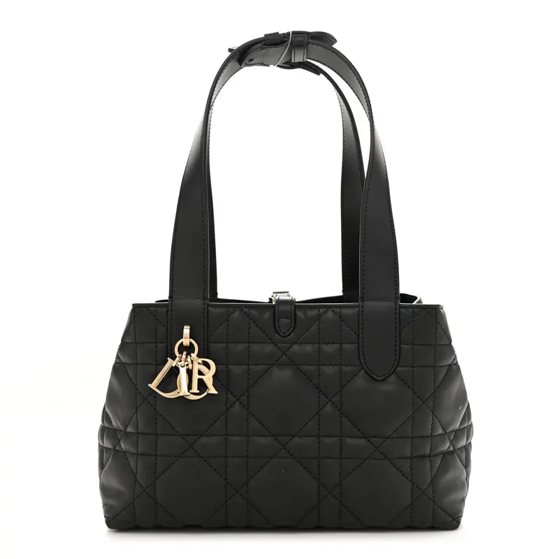 Dior Toujours