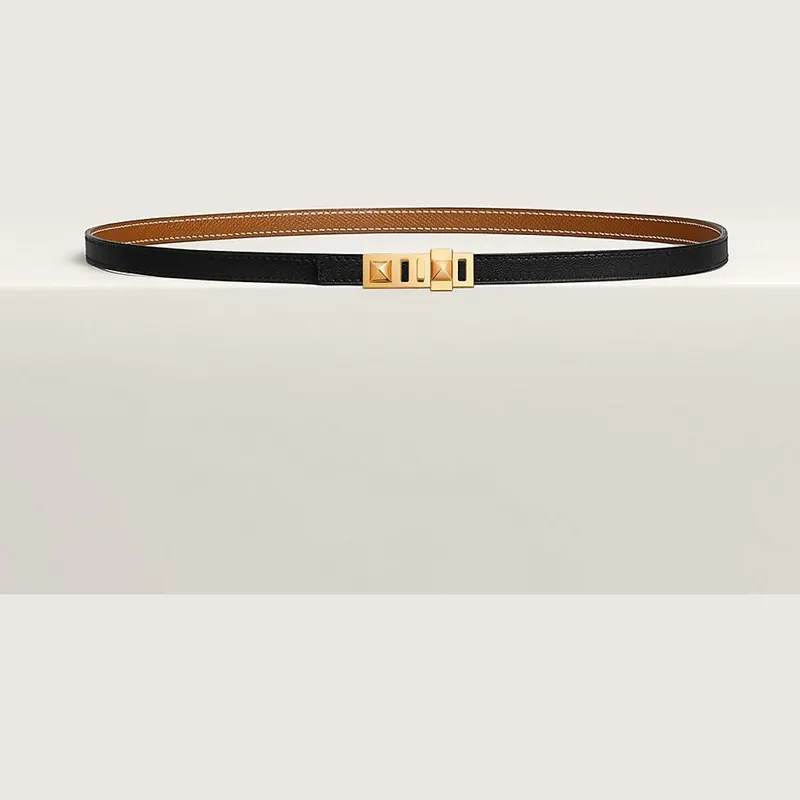 Hermès Ceinture Collier de Chien
