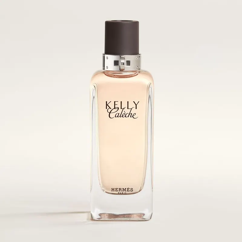Hermès Kelly Calèche